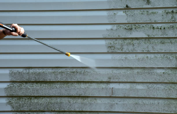 Best Sidewalk and Walkway Cleaning  in Minooka, IL